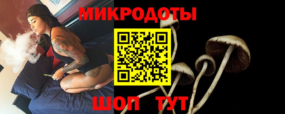 Псилоцибиновые грибы Magic Shrooms  Вход с VPN  Великий Устюг  Галлюциногенные грибы MAGIC MUSHROOMS 